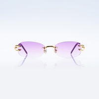 Vision Optik