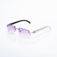 Vision Optik