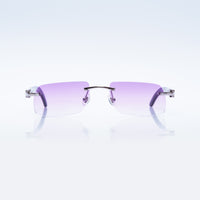 Vision Optik