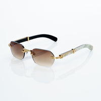 Vision Optik