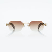 Vision Optik
