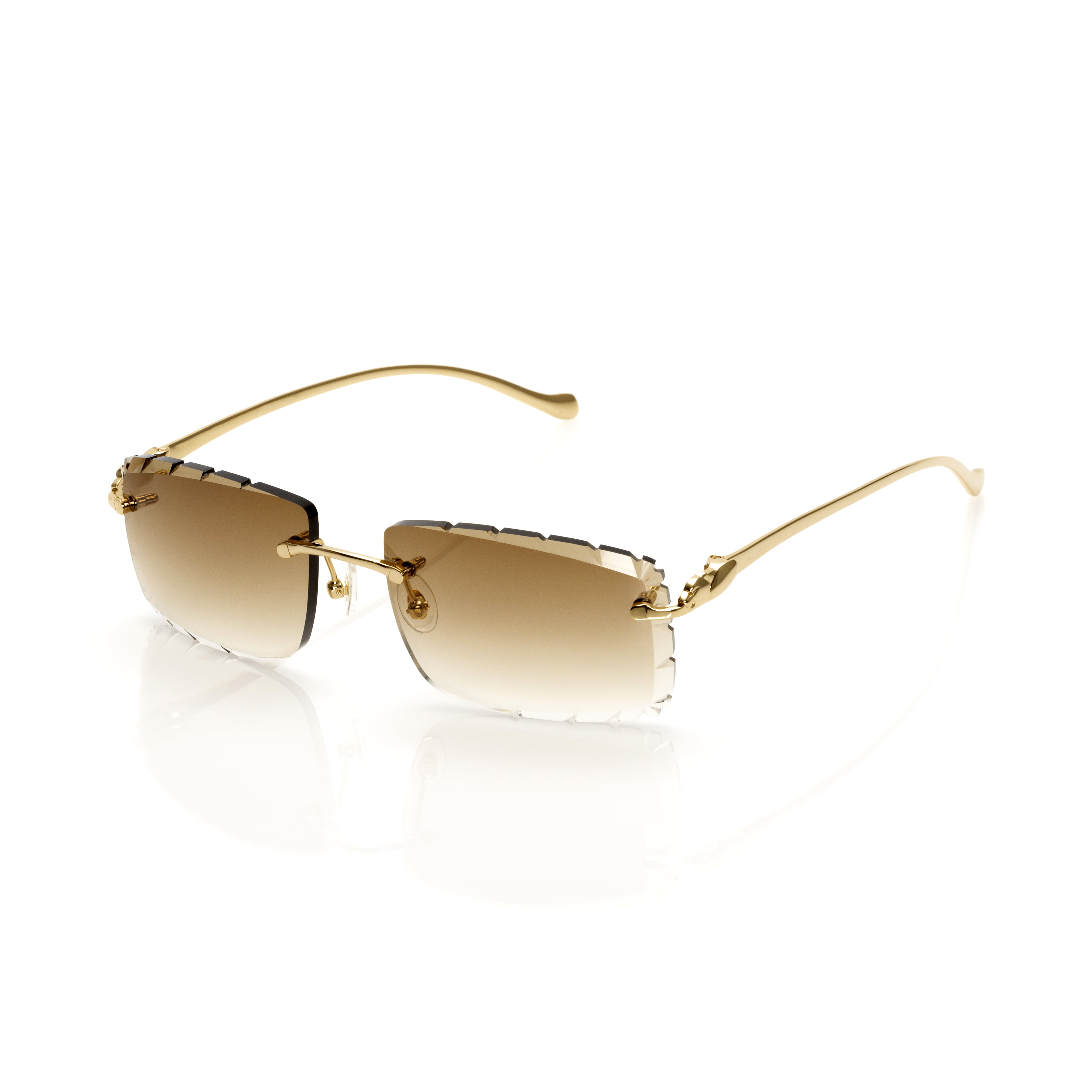 Vision Optik