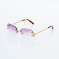 Vision Optik