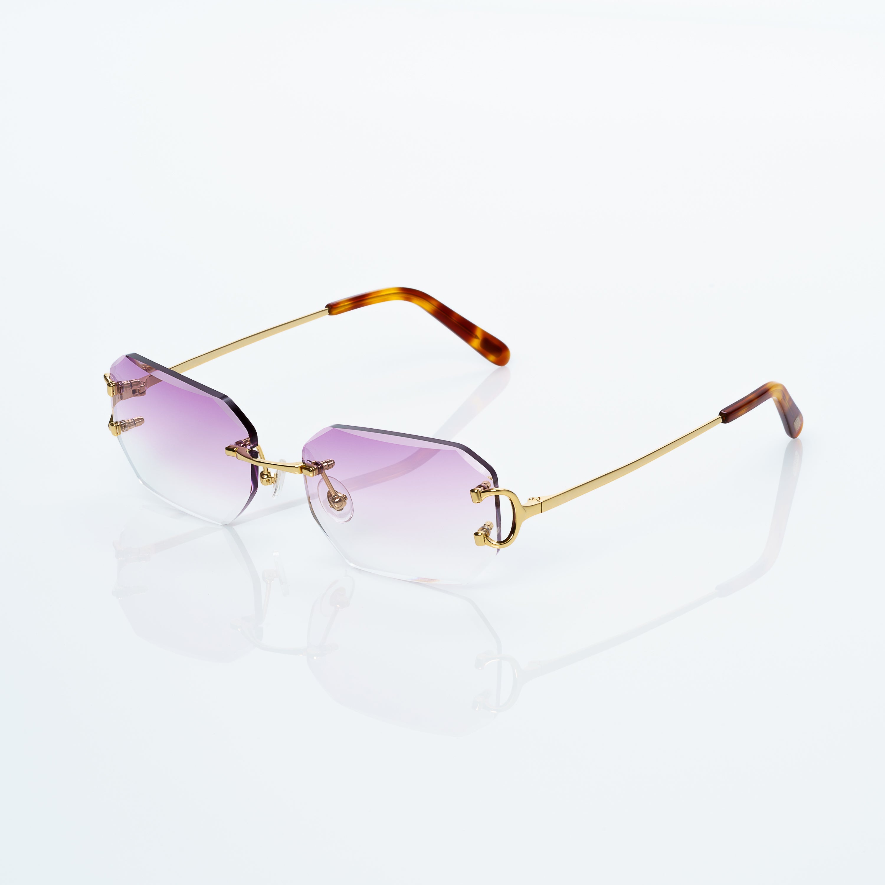 Vision Optik