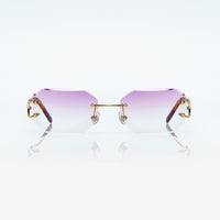 Vision Optik