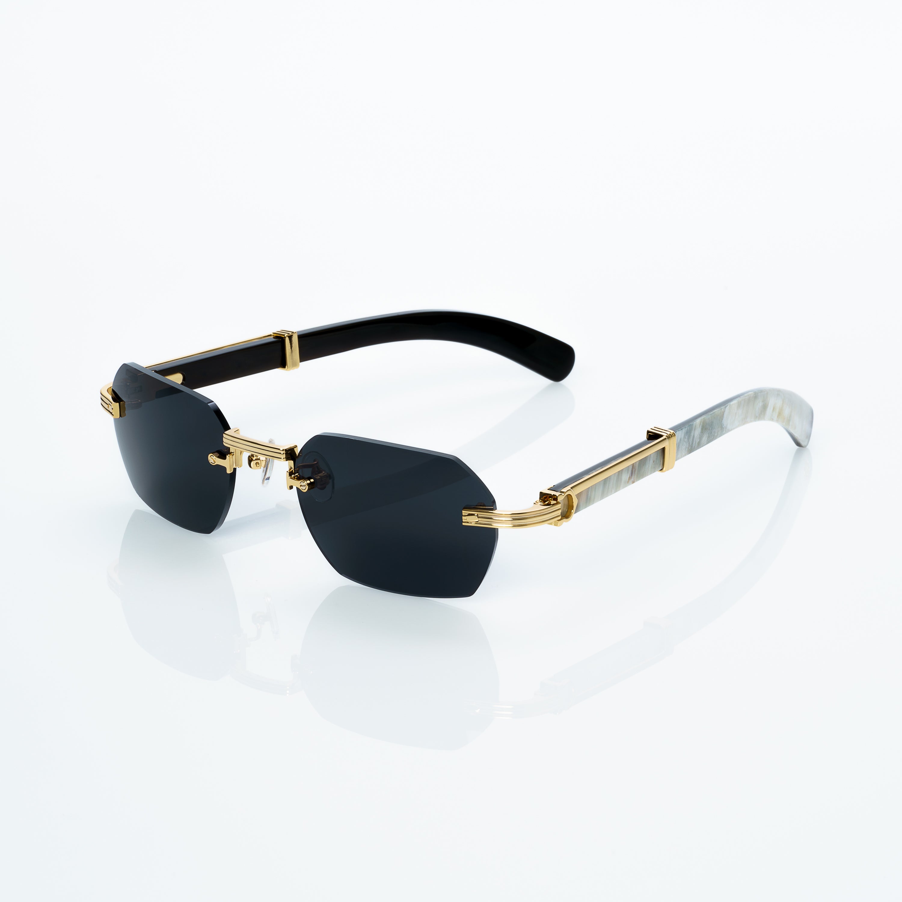 Vision Optik