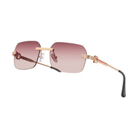 Vision Optik