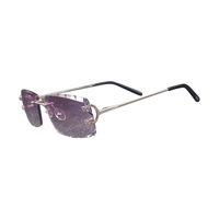 Vision Optik