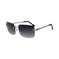 Vision Optik