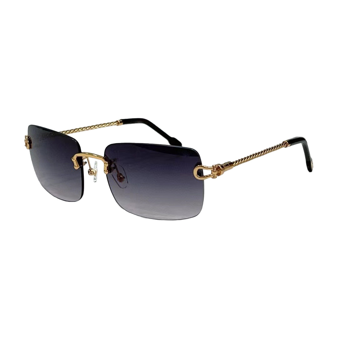 Vision Optik