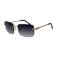 Vision Optik