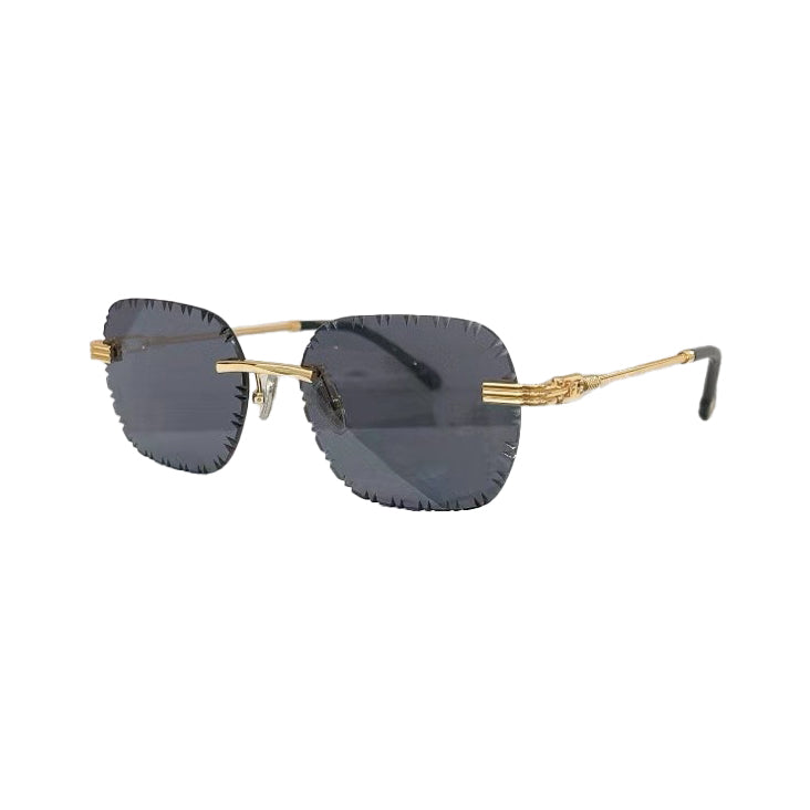Vision Optik