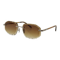 Vision Optik