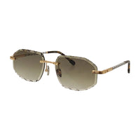 Vision Optik