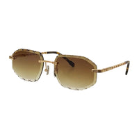 Vision Optik