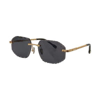 Vision Optik