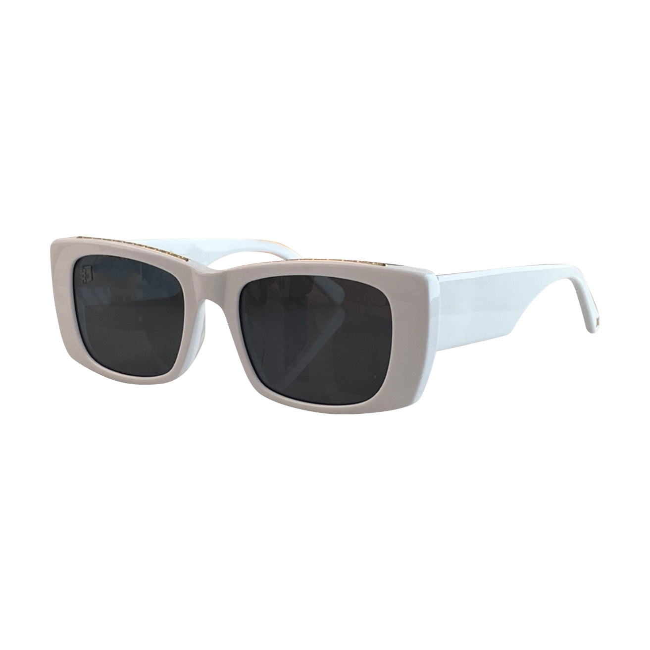 Vision Optik