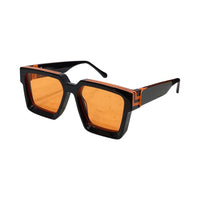 Vision Optik