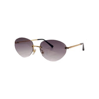 Vision Optik