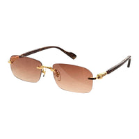 Vision Optik