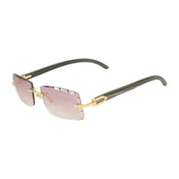 Vision Optik