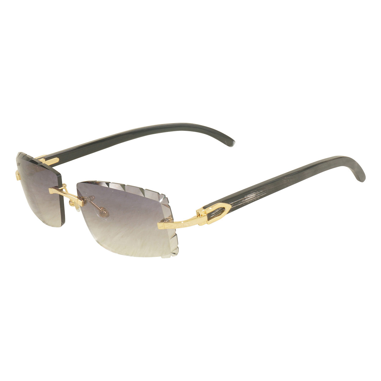 Vision Optik