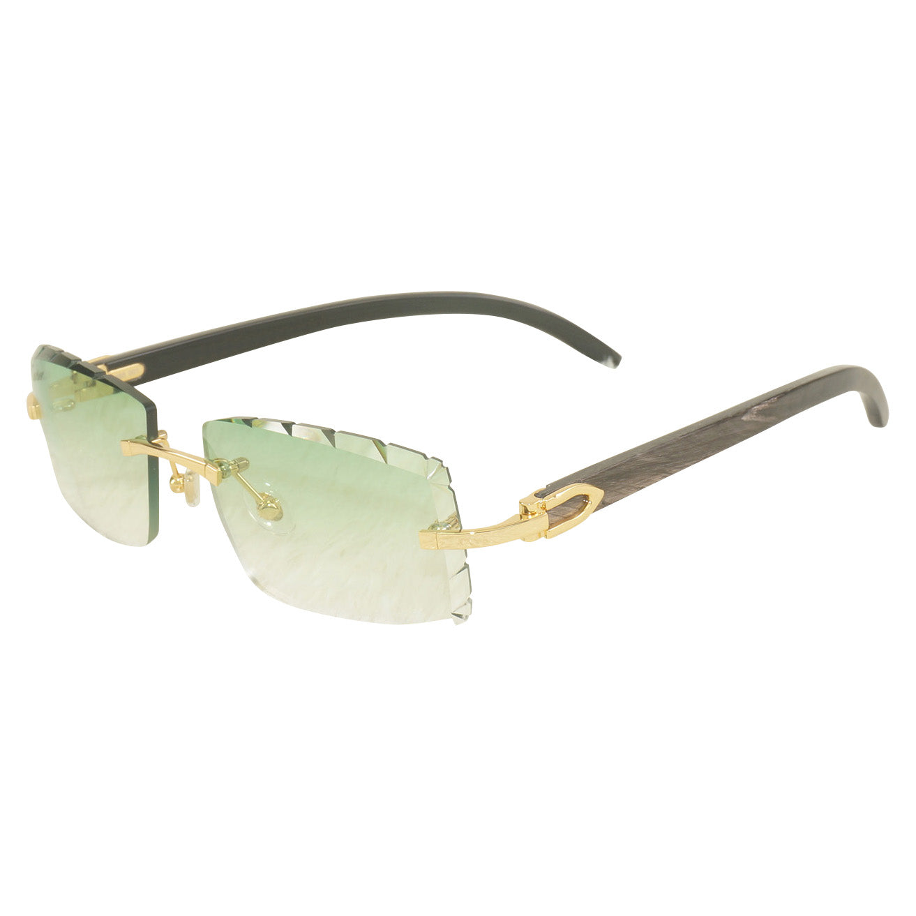 Vision Optik