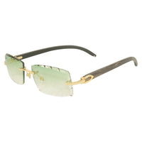 Vision Optik