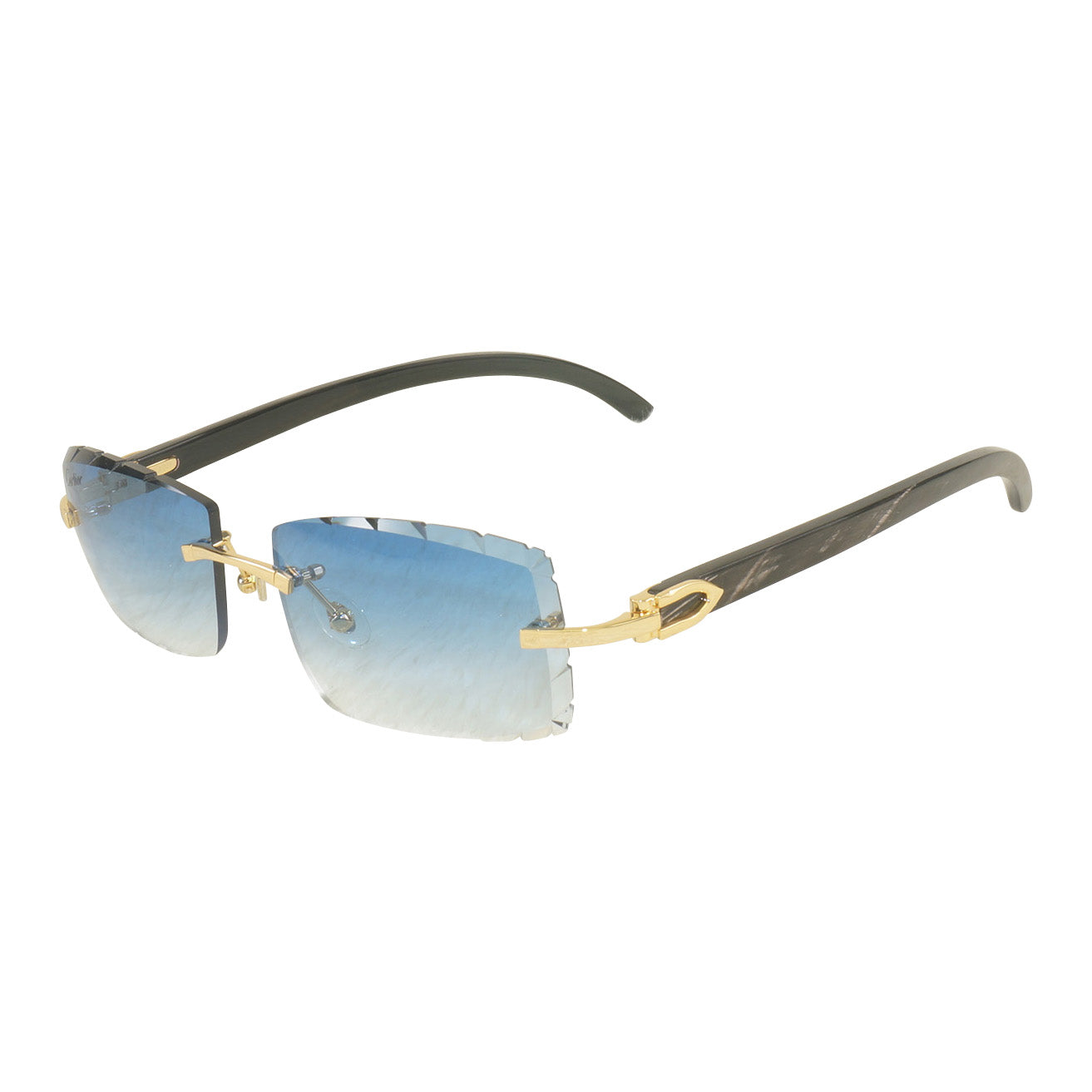 Vision Optik