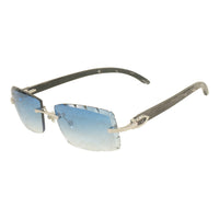 Vision Optik