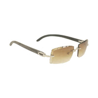 Vision Optik
