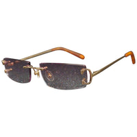 Vision Optik