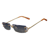 Vision Optik