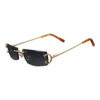 Vision Optik