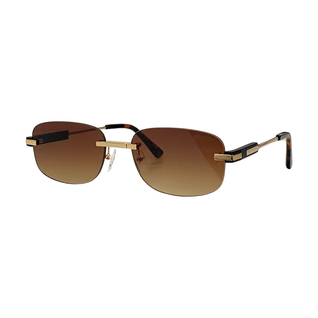 Vision Optik