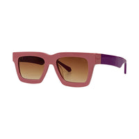 Vision Optik