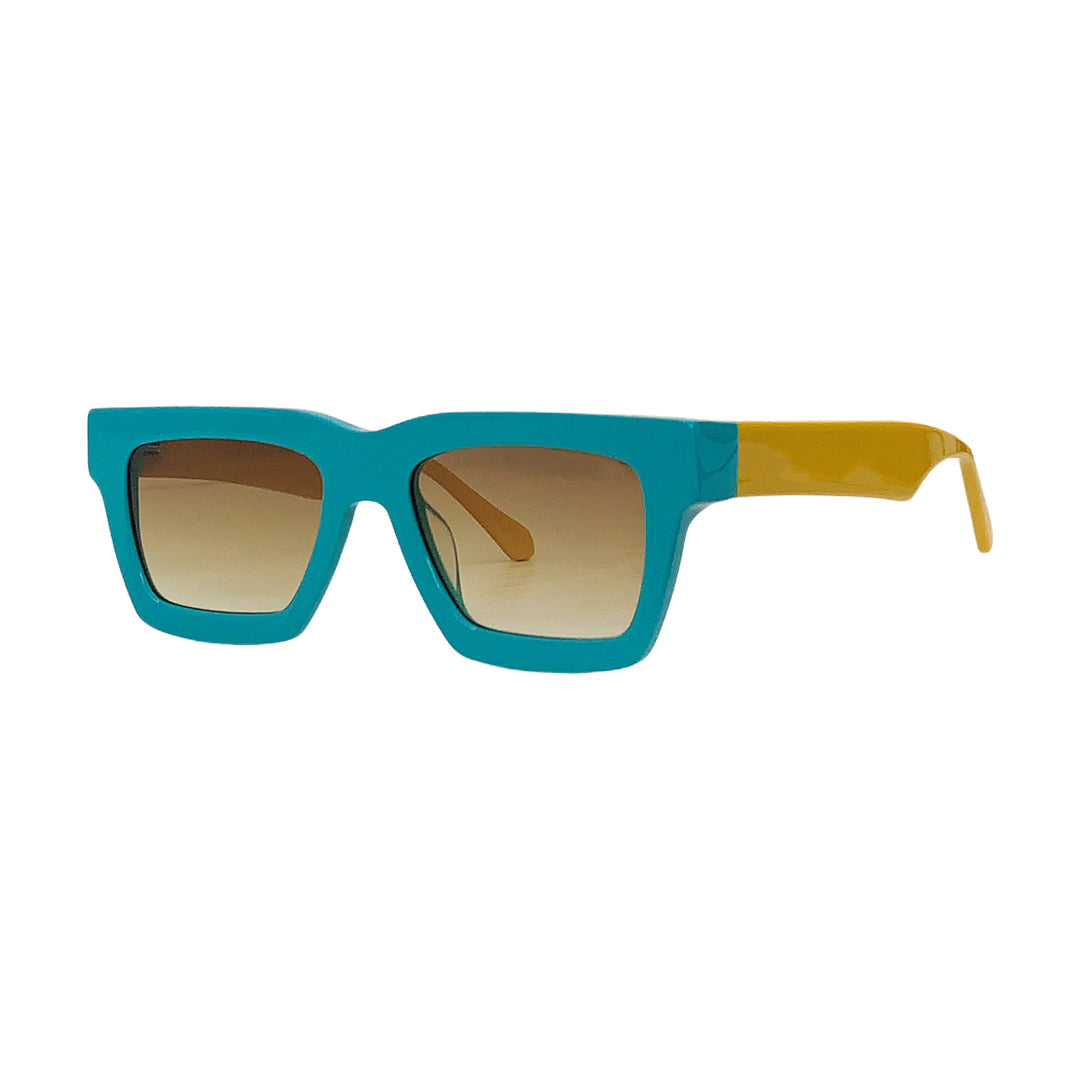 Vision Optik