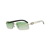 Vision Optik
