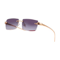 Vision Optik