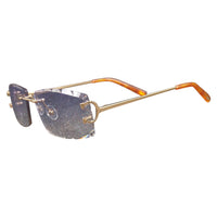 Vision Optik