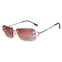 Vision Optik