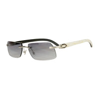 Vision Optik
