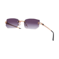 Vision Optik