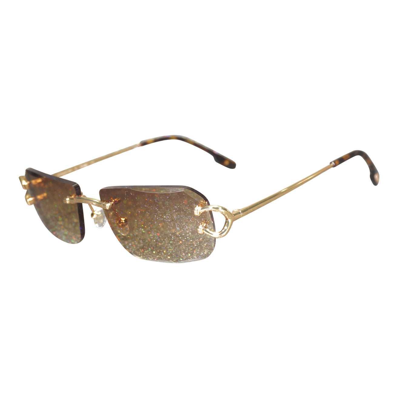 Vision Optik