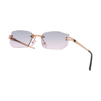 Vision Optik