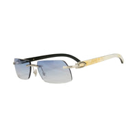 Vision Optik