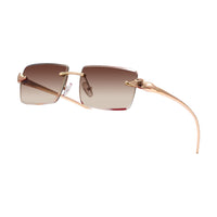 Vision Optik