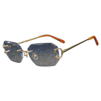Vision Optik