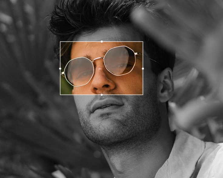 Vision Optik