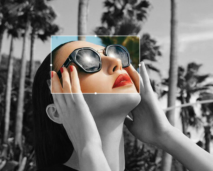 Vision Optik